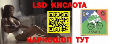 2c-b Камышлов