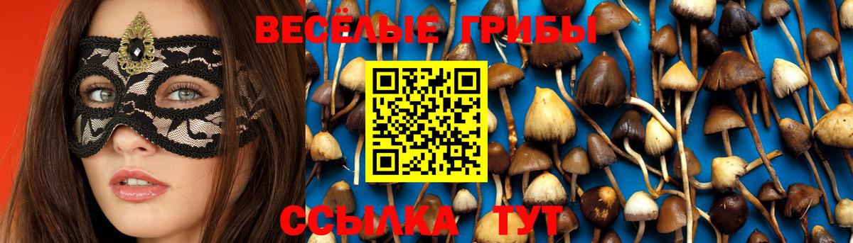 Псилоцибиновые грибы MAGIC MUSHROOMS  Галлюциногенные грибы мухоморы  Вход с VPN  Крымск 